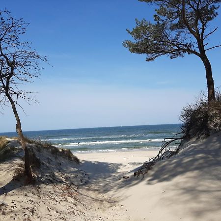 Apartamenty Marzen Grzybowo  Buitenkant foto
